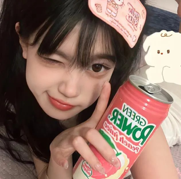 大明星醒目狗